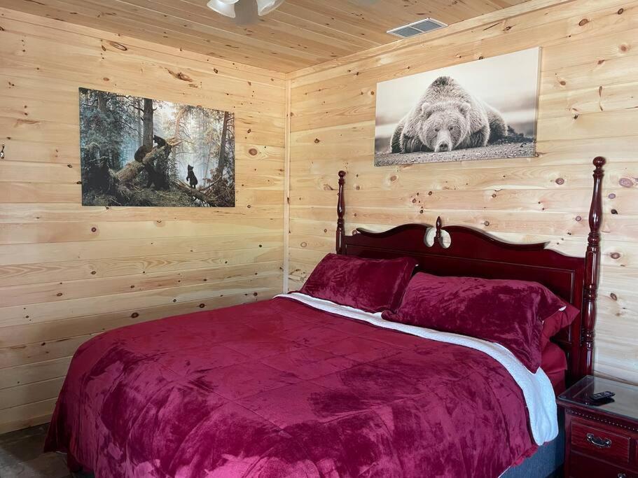 バナー・エルク Crestview-Spectacular 3 Bed 3 Bath 5 Min To Slopesヴィラ エクステリア 写真